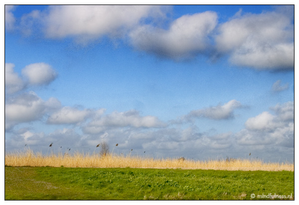 Je leest er steeds meer over; Mindfulness. Maar wat is het precies, kun jij het ook doen en heb je er wat aan? In dit artikel worden een aantal aspecten van mindfulness belicht en vind je wat praktische tips. Mindfulness is het met aandacht aanwezig zijn in het hier en nu, zonder daar een oordeel…